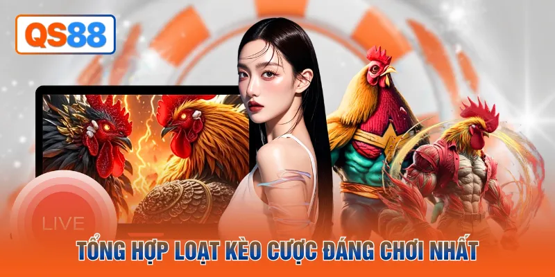 Tổng hợp loạt kèo cược đáng chơi nhất